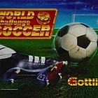 World Challenge Soccer