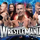 WWE Wrestlemania (Pro)