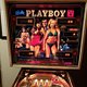 New to Pinball but I am in the Rabbit Hole! We are now looking for South Park that's my game that I 